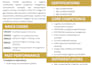 design a professional government capability statement